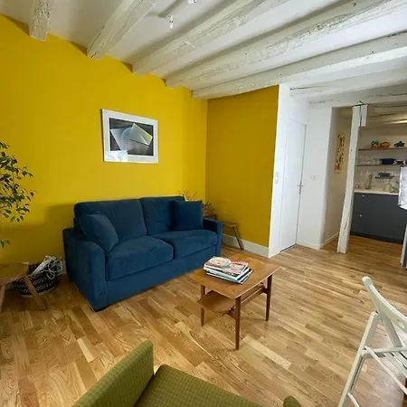 Magnifique Refait A Neuf Vieux Apartment Tours
