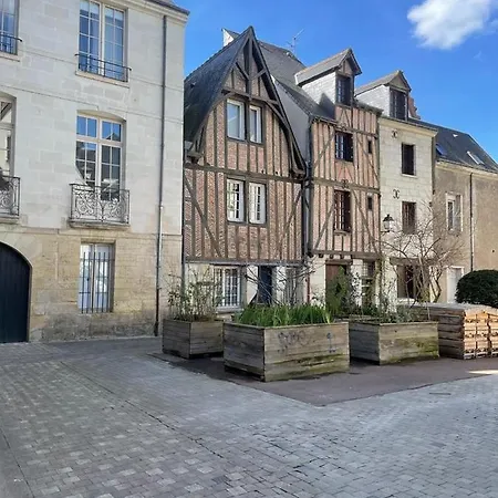 Magnifique Refait A Neuf Vieux Apartment